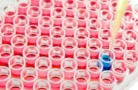 Торговые сети Х5 временно блокируют продажи сосисок и сарделек Великолукского мясокомбината