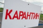 В четырех округах Ставропольского края установлен карантин по АЧС и бруцеллезу