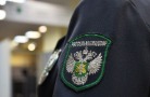 В школах Карелии обнаружили мясные продукты без маркировки и сопроводительных документов