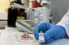 «ХЕМА» приветствует аттестацию новой методики определения микробной трансглутаминазы