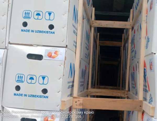 С начала года из Узбекистана в Красноярский край поступило 12 партий инкубационных яиц