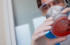 В Салехарде 38 клиентов службы доставки Wasabi 89 заразились сальмонеллезом