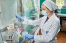 В Тверской области к экспорту во Вьетнам подготовлено 28 тонн свиных субпродуктов