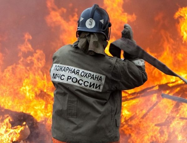 В Забайкальском крае произошел пожар на свинокомплексе компании «Новый материк»