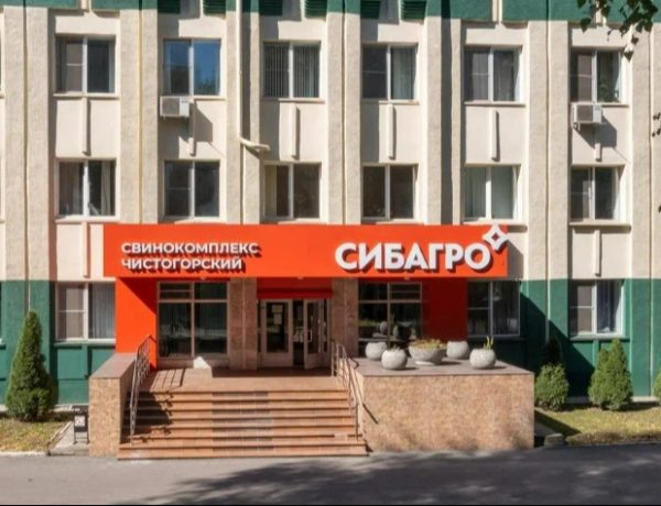 Чистогорский свинокомплекс «Сибагро» вышел на рынки трех стран ЕАЭС