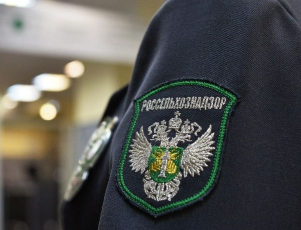 Россельхознадзор проводит внеплановую выездную проверку Токарёвской птицефабрики