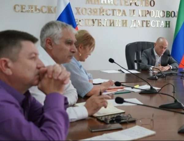 С начала года Дагестан реализовал более 1,2 тысячи тонн баранины