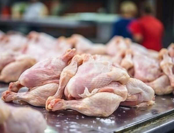 В августе цены на мясо птицы выросли более чем на 15% год к году