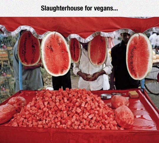 slaughterhouse for vegans