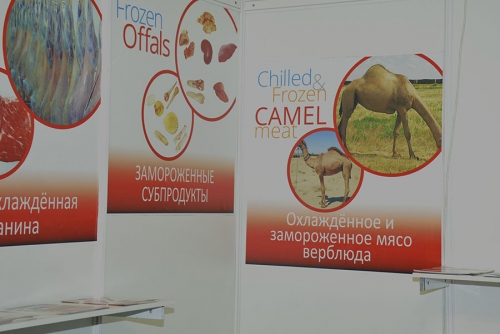 Мясо верблюда. Замороженное.