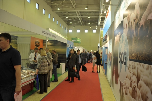 Красная дорожка