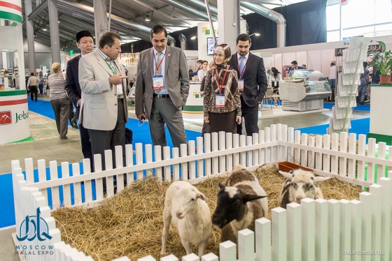 Moscow Halal Expo 2016