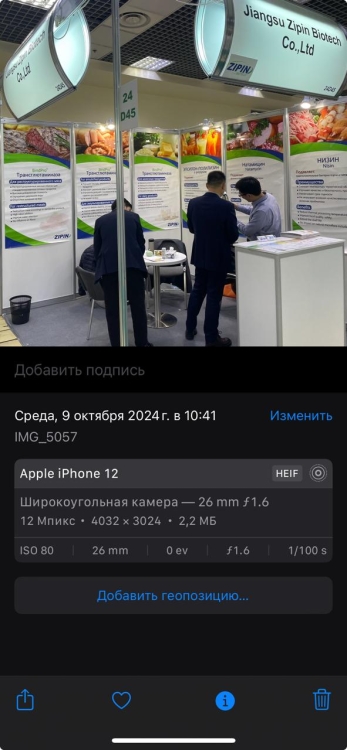 Изображение WhatsApp 2024-12-03 в 09.11.47_21770b1d.jpg