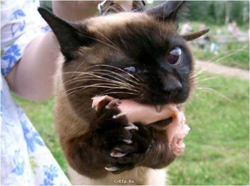 post-1-1132218102_thumb.jpg