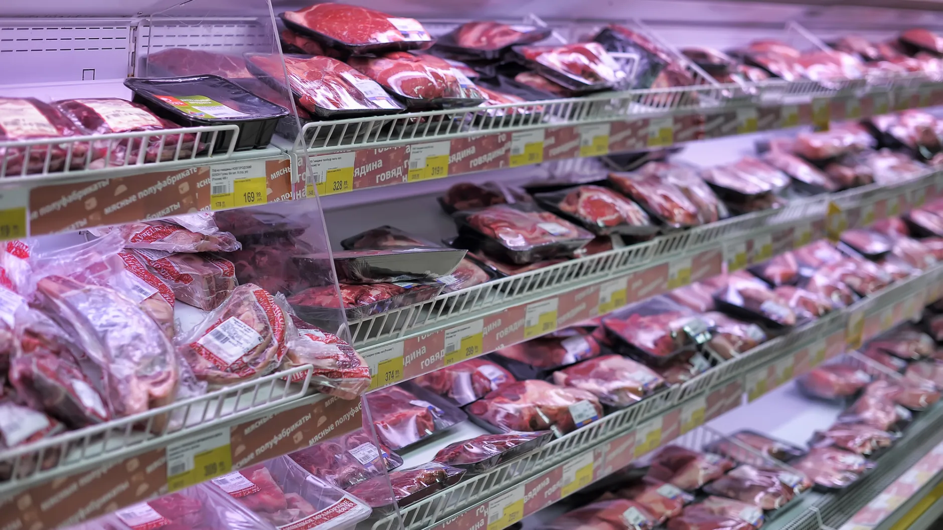 Потребительское поведение на рынке мясной продукции