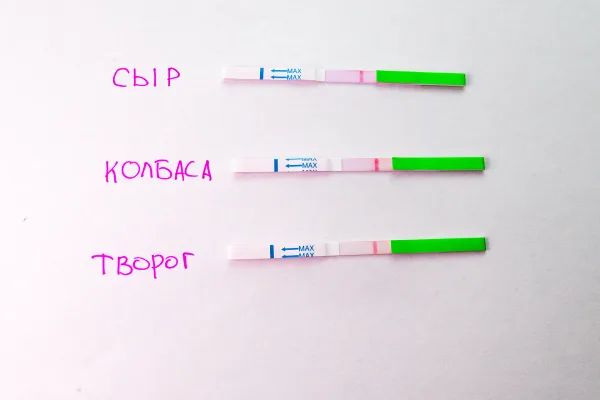 XEMATest мТГ. Опыт в домашних условиях