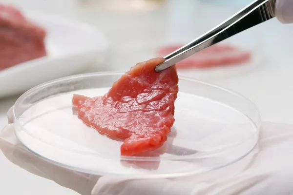 Обзор новостей и событий мясопереработки и животноводства за 37-ю неделю (9 – 13 сентября 2019 г.)