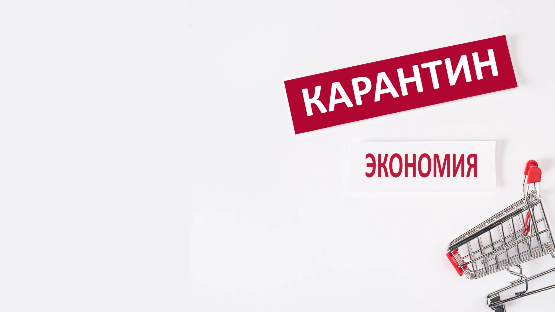 Рынок мяса России в контексте мировых потрясений: мнения и прогнозы