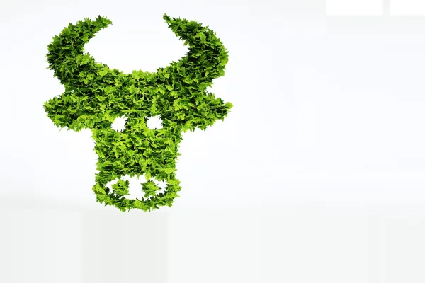 Растительное мясо в России: что необходимо для создания местного Beyond Meat?