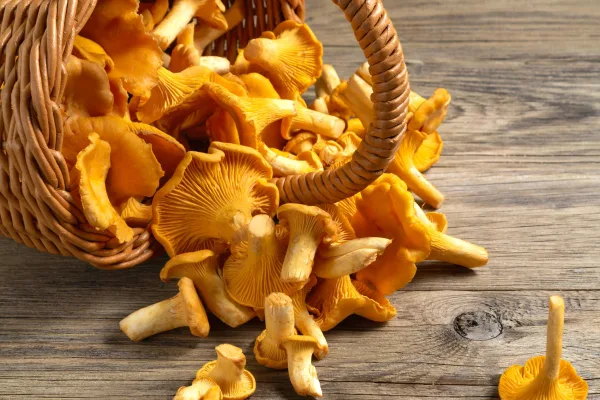Изысканно, натурально, вкусно! Новые вкусы для сырокопченых и сыровяленых колбас.