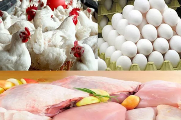Обзор новостей и событий мясопереработки и животноводства за 50-ю неделю (11–17 декабря 2023 г.)