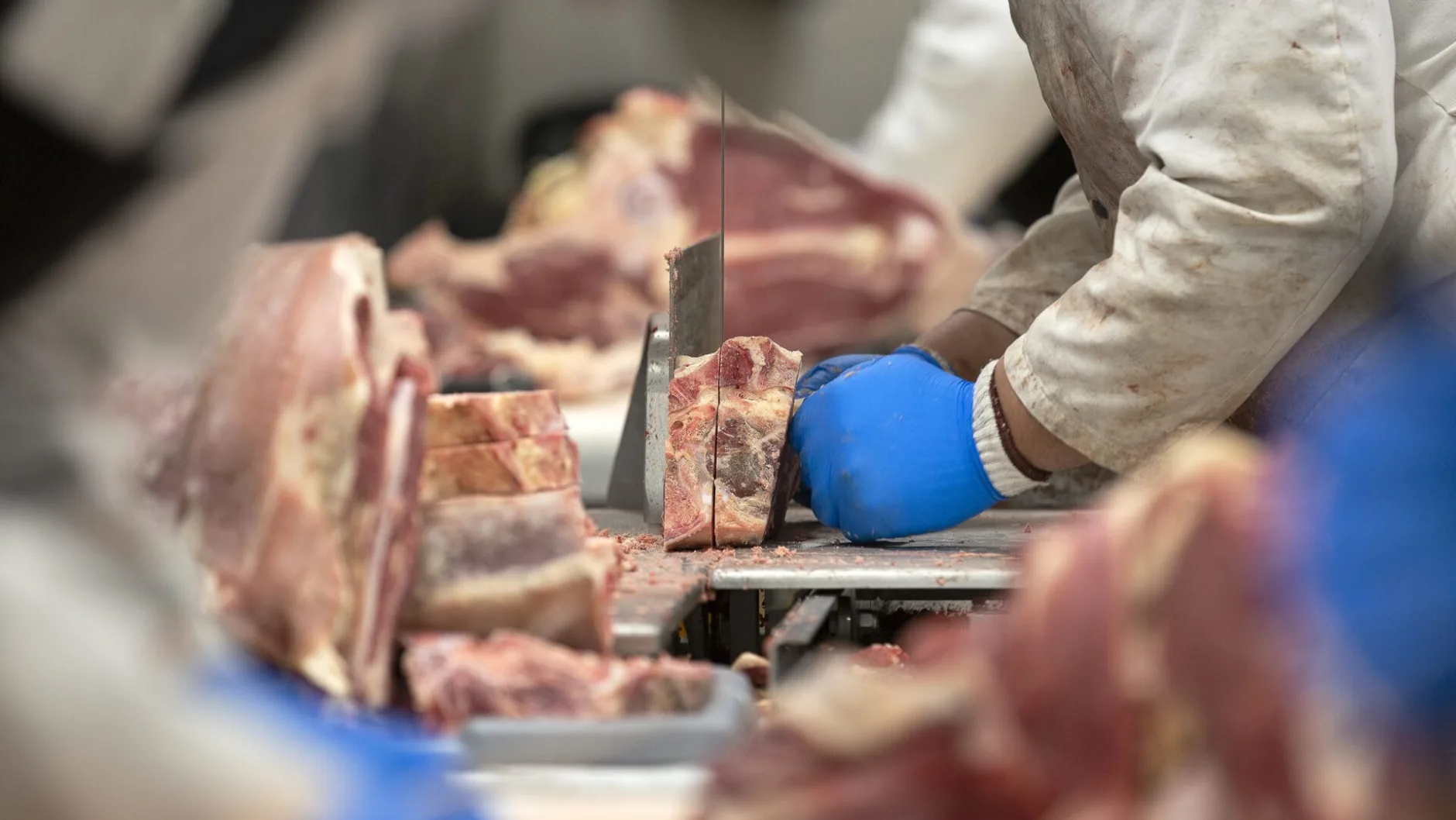 Обзор новостей и событий мясопереработки и животноводства за 14-ю неделю (31 марта – 6 апреля 2025 г.)