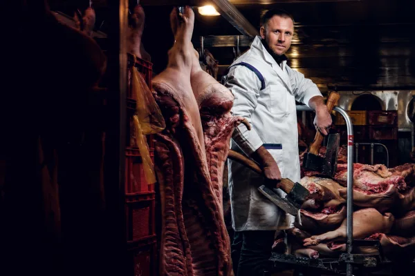 Фальсификация мясопродуктов: история обмана от Руси до наших дней