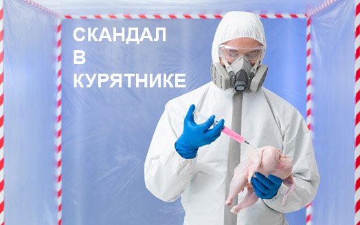 Куриный переполох.jpg