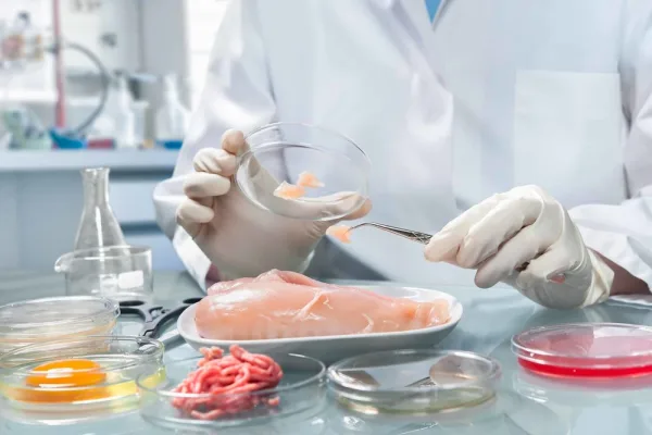 Руководителя лаборатории ООО «ВИТ» оштрафовали за листерии в мясном фарше