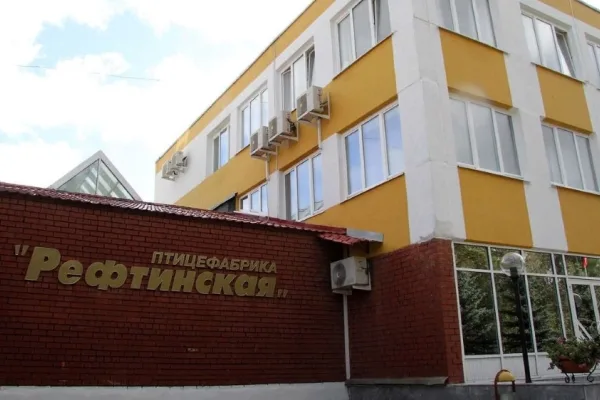 В августе сумма долгов Рефтинской птицефабрики выросла на ₽142 млн