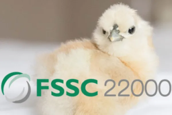 Все птицефабрики группы «ПРОДО» сертифицированы по схеме FSSC 22000