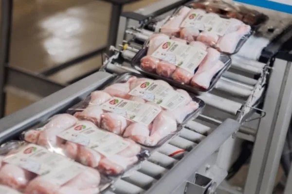 Чамзинская птицефабрика отгрузила первую партию продукции в Таджикистан