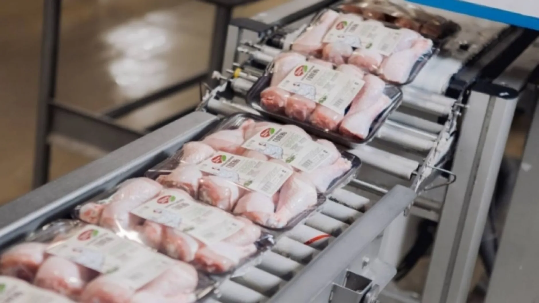 Чамзинская птицефабрика отгрузила первую партию продукции в Таджикистан