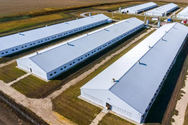«Дамате» установила 100 санитарных шлюзов на производстве индейки