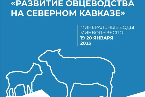 Развитие овцеводства обсудят на форуме в Минеральных Водах
