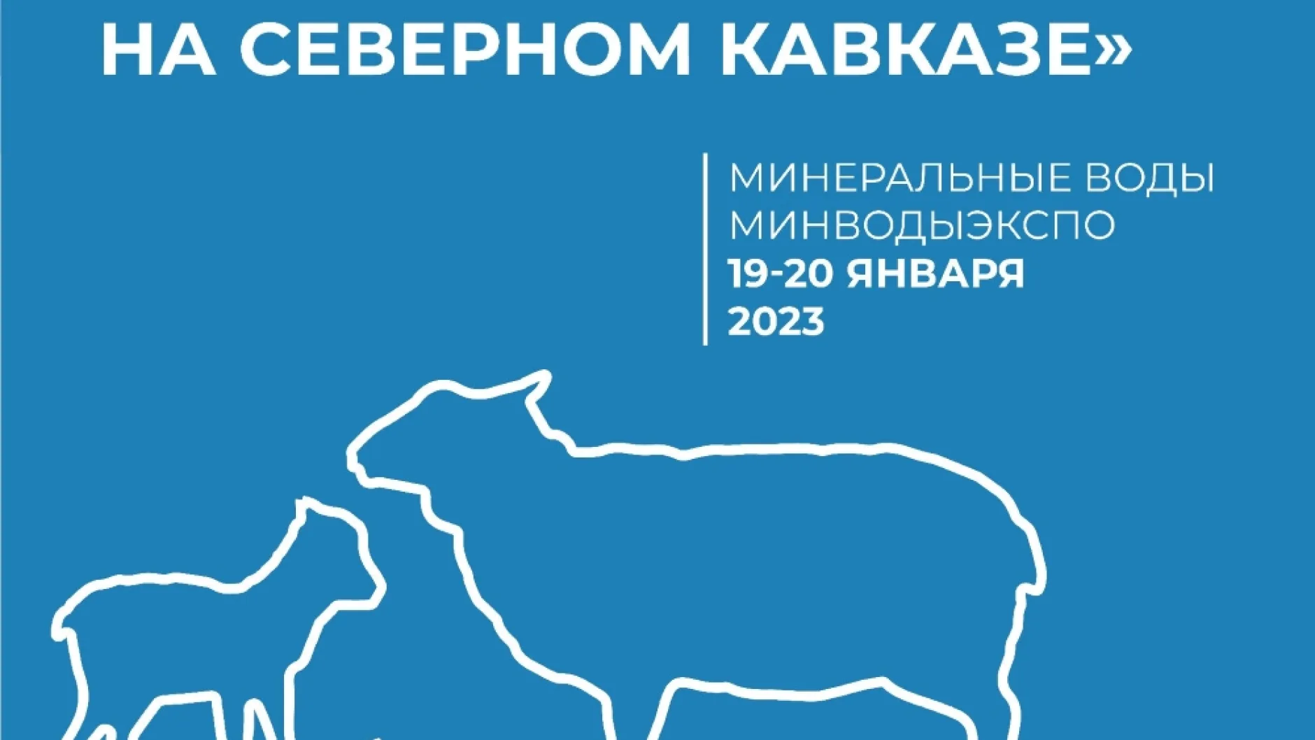 Развитие овцеводства обсудят на форуме в Минеральных Водах