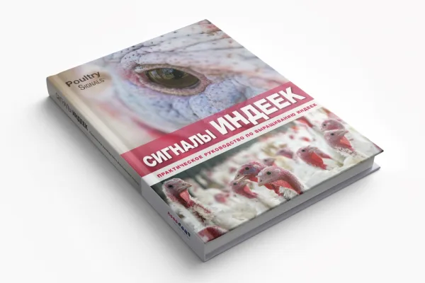 В конце мая вышла в свет русскоязычная версия книги «Сигналы индеек»