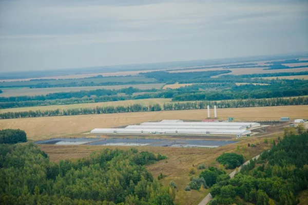 Средняя зарплата сотрудников "Мираторга"в Курской области на 12% выше, чем в регионе