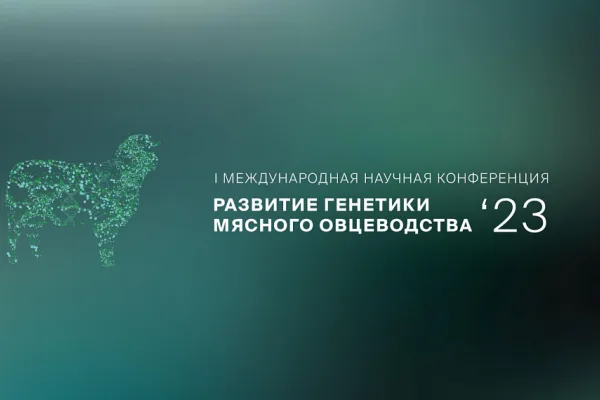 «Дамате» провела международную научную конференцию по генетике мясного овцеводства