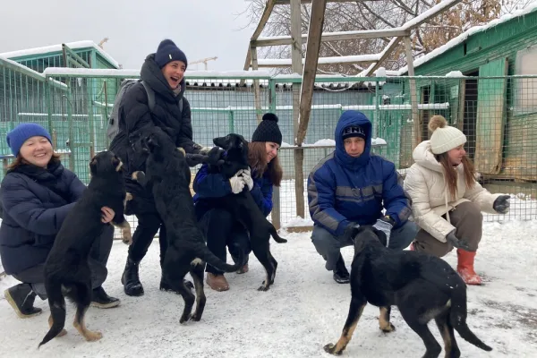 Сотрудники «Черкизово» помогают приютам для бездомных животных