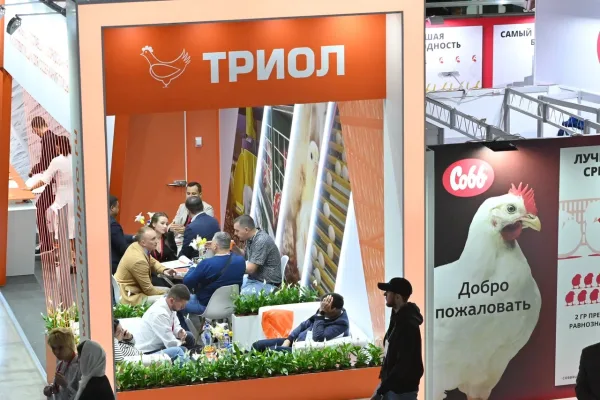 Организатор MAP Russia развивает партнерство с PR-агентством Promote Abroad