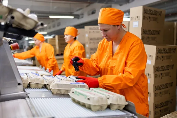 Птицефабрика «Башкирская» планирует вдвое увеличить выпуск продукции