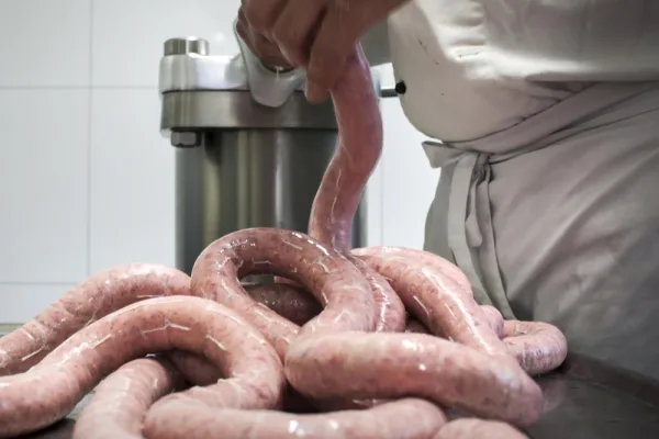 СОЮЗСНАБ: наметился прорыв в технологии стабилизации мясных эмульсий