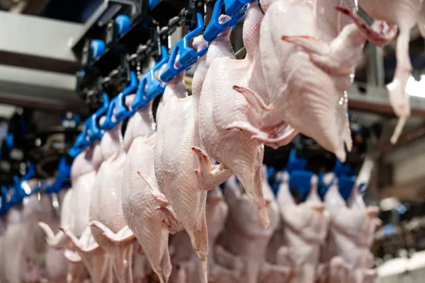 Группа «Черкизово» продала через биржу 16,7 тысячи тонн мяса