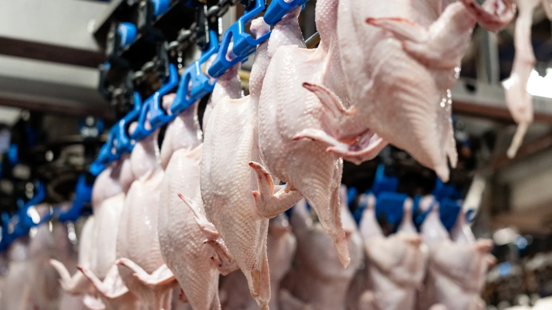 Группа «Черкизово» продала через биржу 16,7 тысячи тонн мяса