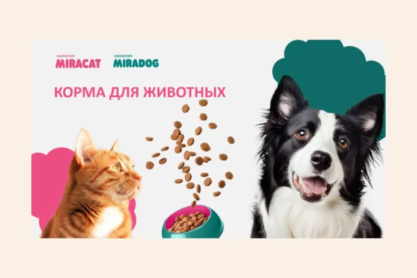 «Мираторг» выпустил корма Miracat и Miradog для домашних питомцев