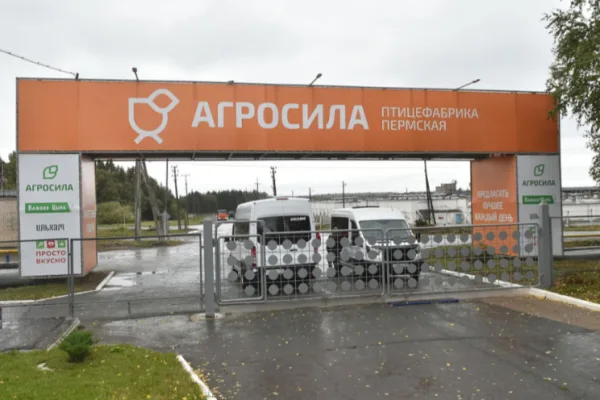 Пермская птицефабрика холдинга АГРОСИЛА подвела итоги 2025 года