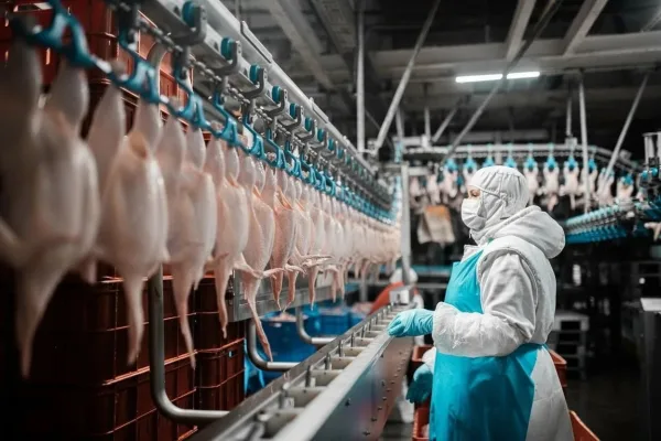 Тюменская область: птицефабрика «ПРОДО» подтвердила соответствие FSSC 22000 v.6