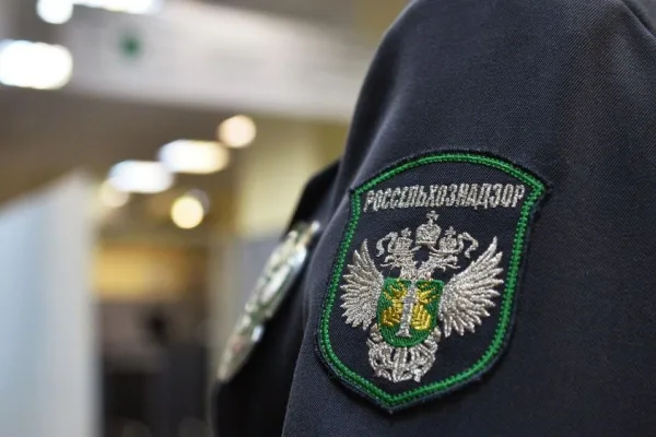 В Подмосковье задержаны 10,3 тонны рыбного и говяжьего коллагена