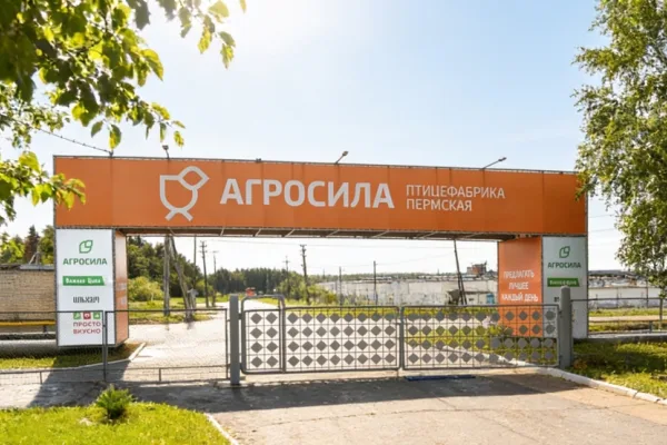 АГРОСИЛА инвестирует в развитие пермской птицефабрики ₽1 млрд